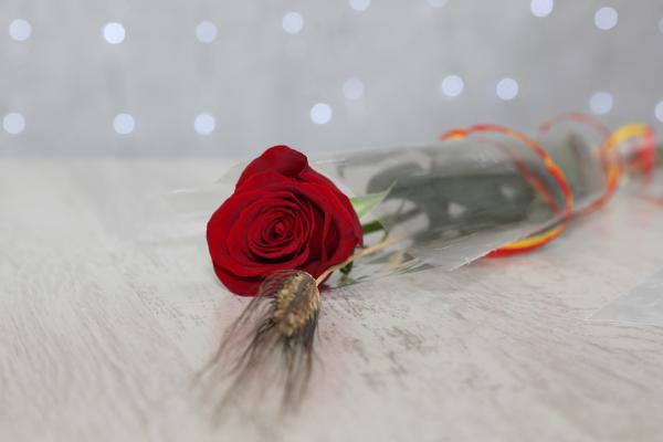 Rosas Sant Jordi